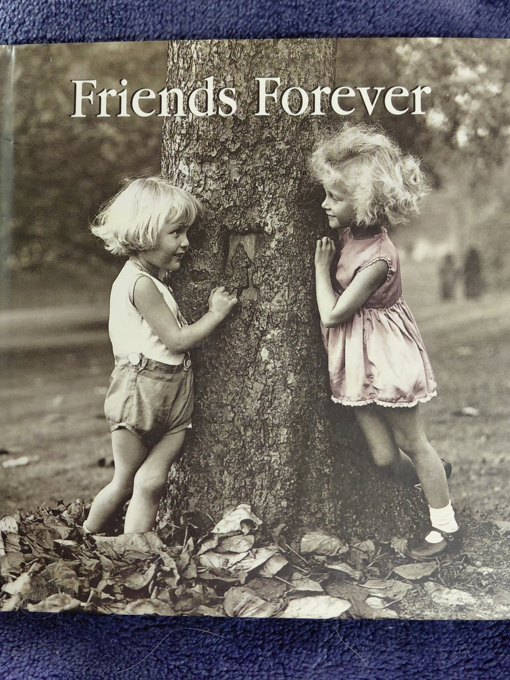Friends Forever Hallmark Gift Book